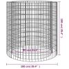 Gabion Fire Pit √ò 39.4" Galvanized Iron